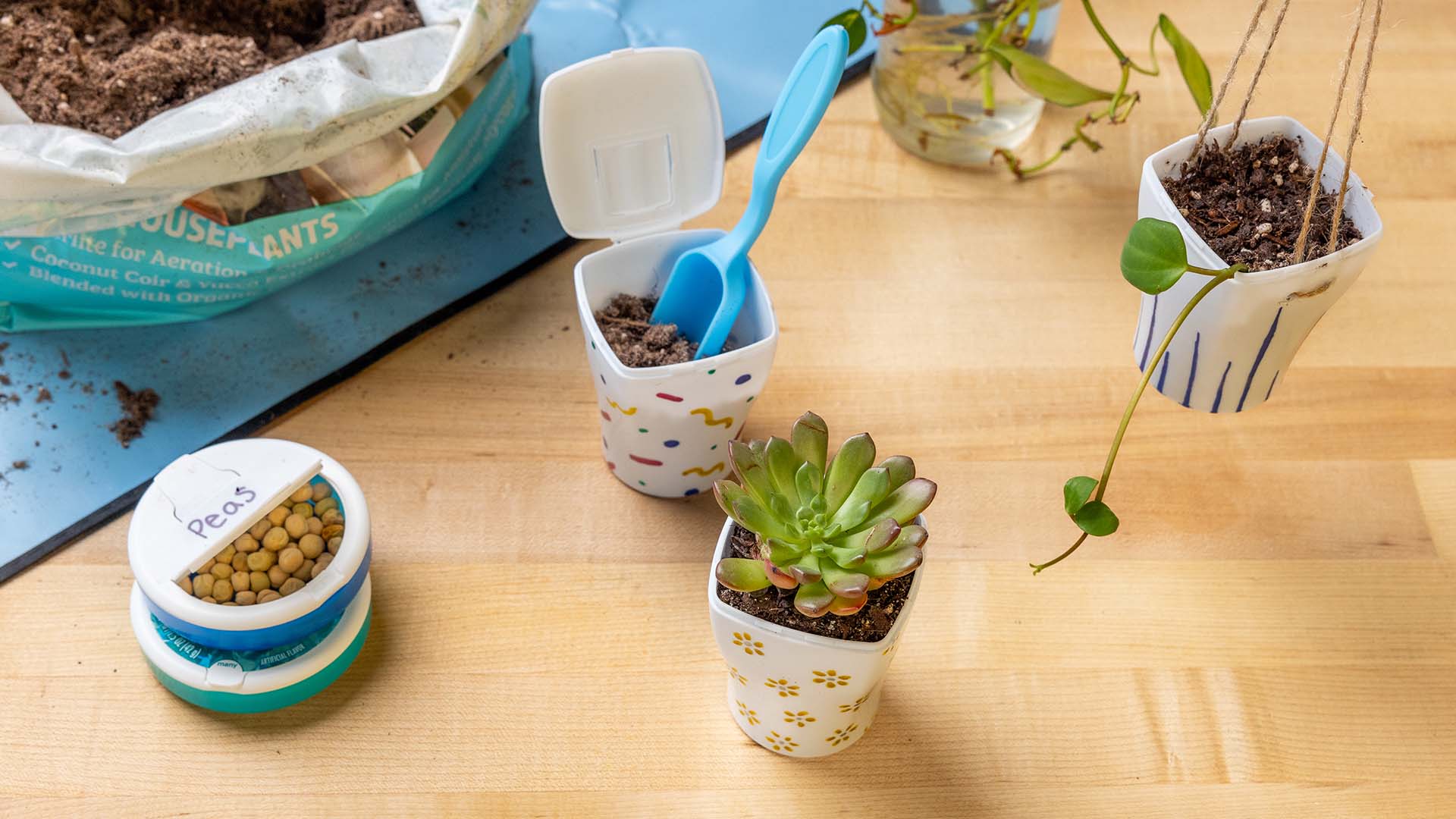 diy planter and seed starter craft